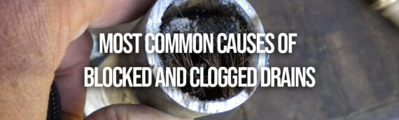 4 Most Common Causes of Blocked and Clogged Drains in Denver CO