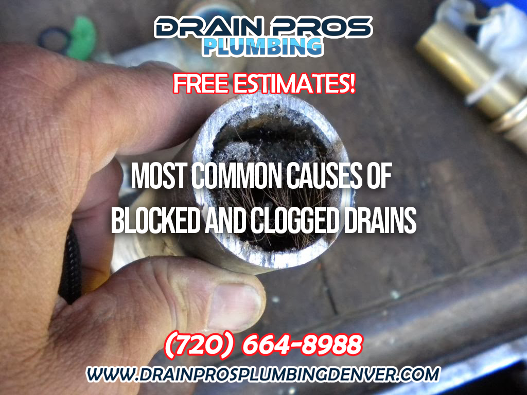 Common Causes of Blocked and Clogged Drains in Denver Colorado