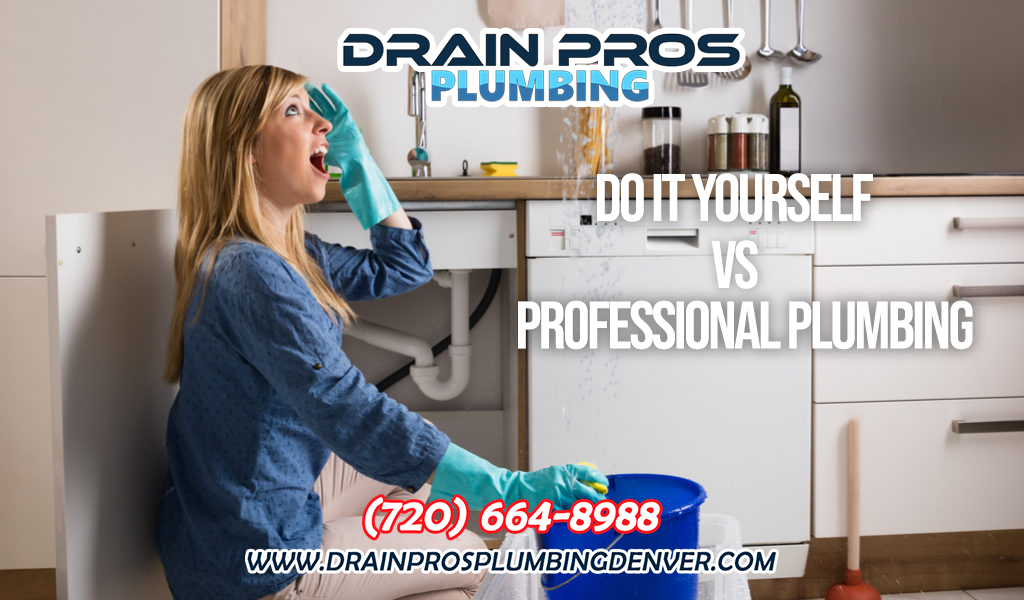 Do it yourself or hire a professional plumber in Denver Colorado