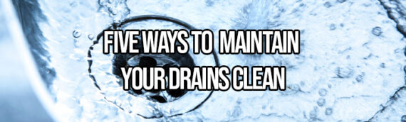 5 Ways to Maintain a Healthy Drainage System in Denver Co