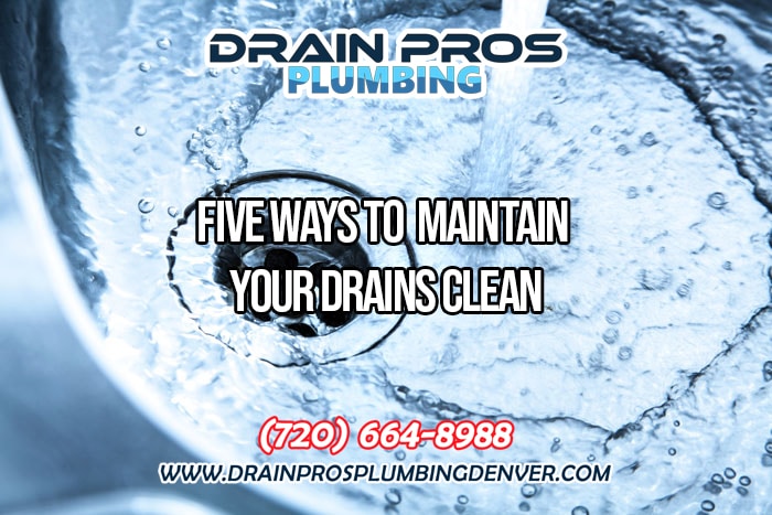 Tips to Maintain a Healthy Drainage System in Denver Colorado