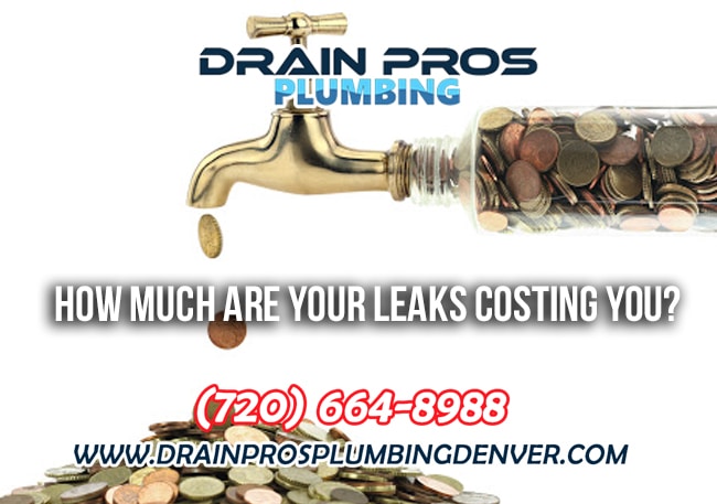 Cost of Water Leaks in Denver