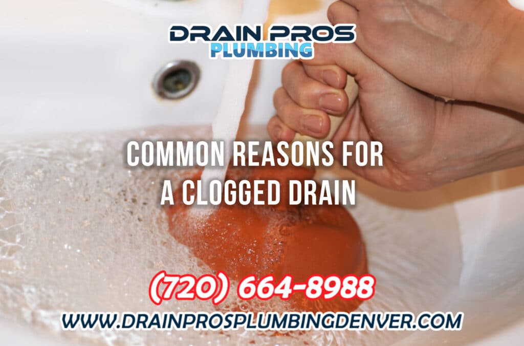 Common Reasons For A Clogged Drain in Denver