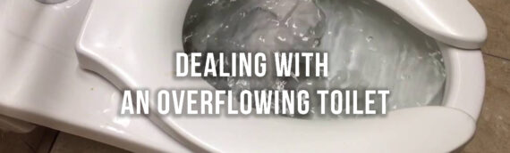 What To Do If Your Toilet Overflows in Denver?