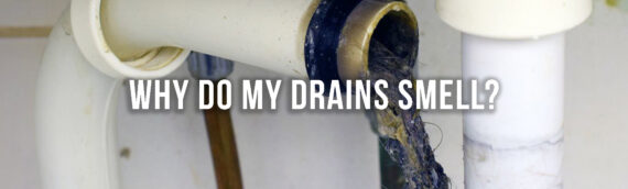 Why Do My Drains Smell Bad in Denver?