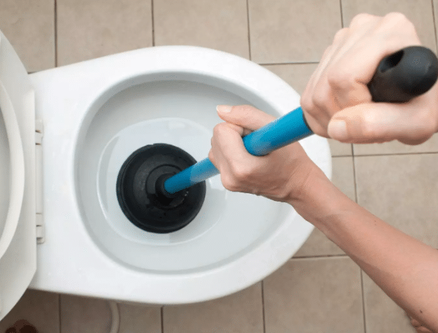 Know The Reasons Your Toilet Smells And How To Eliminate Them In Denver