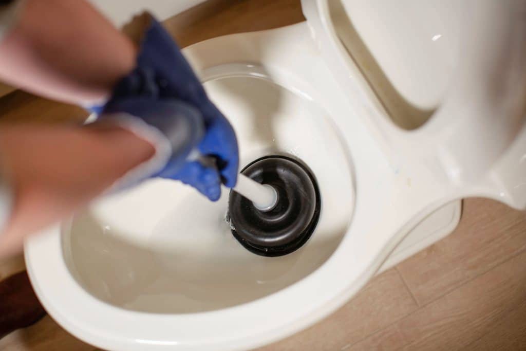 5 Tips To Unclog Toilet DIY In Denver