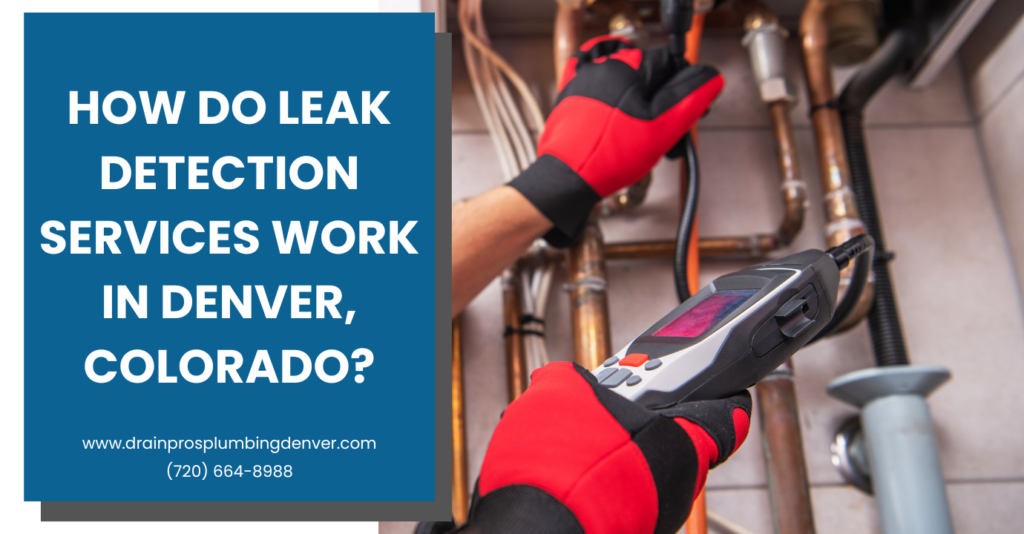 leak detection services Denver pricing