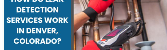 How Do Leak Detection Services Work in Denver, Colorado?