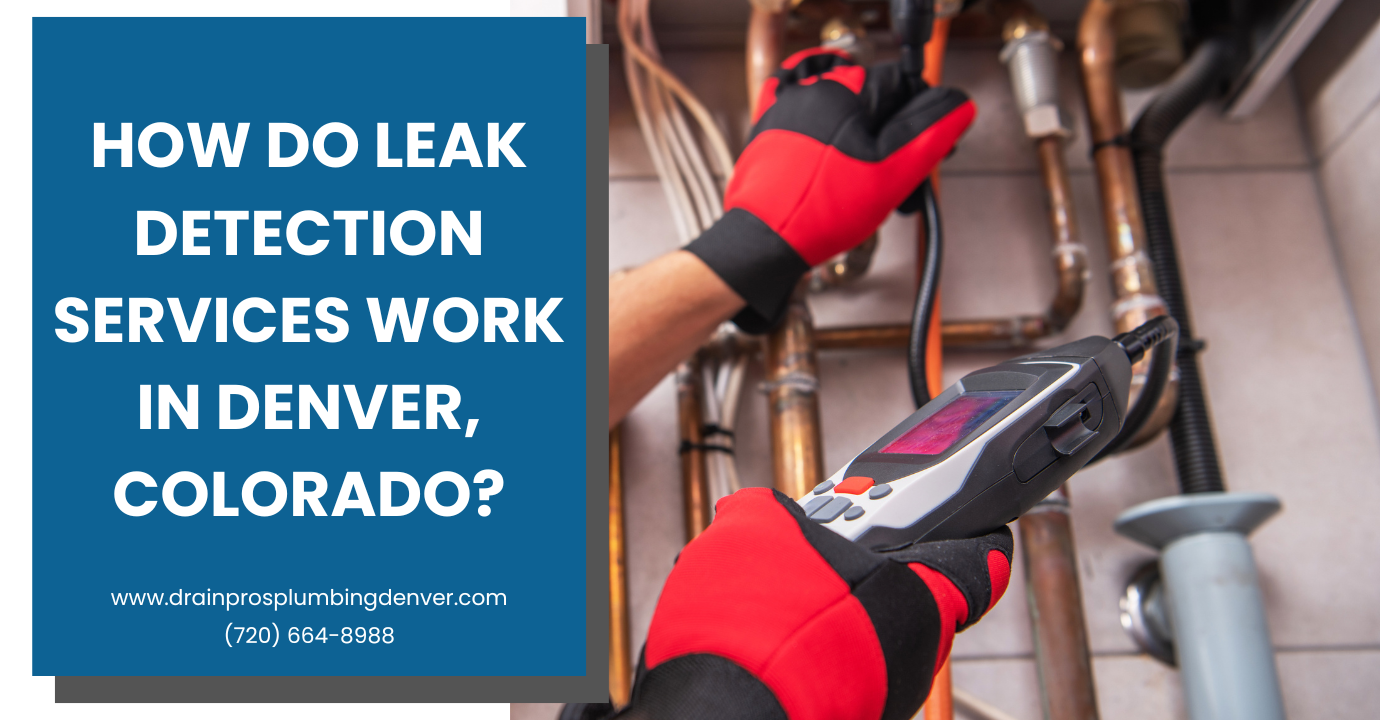 leak detection services Denver pricing