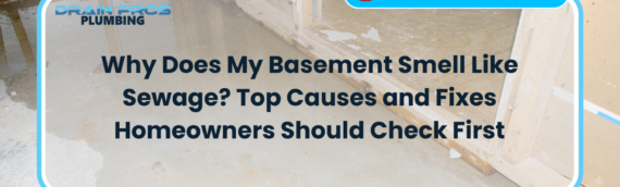 Why Does My Basement Smell Like Sewage? Top Causes and Fixes Homeowners Should Check First